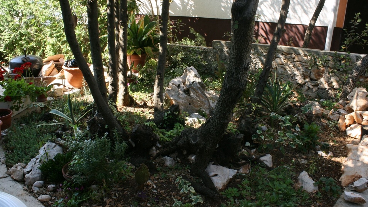 Photo of Outdoor in Mandre