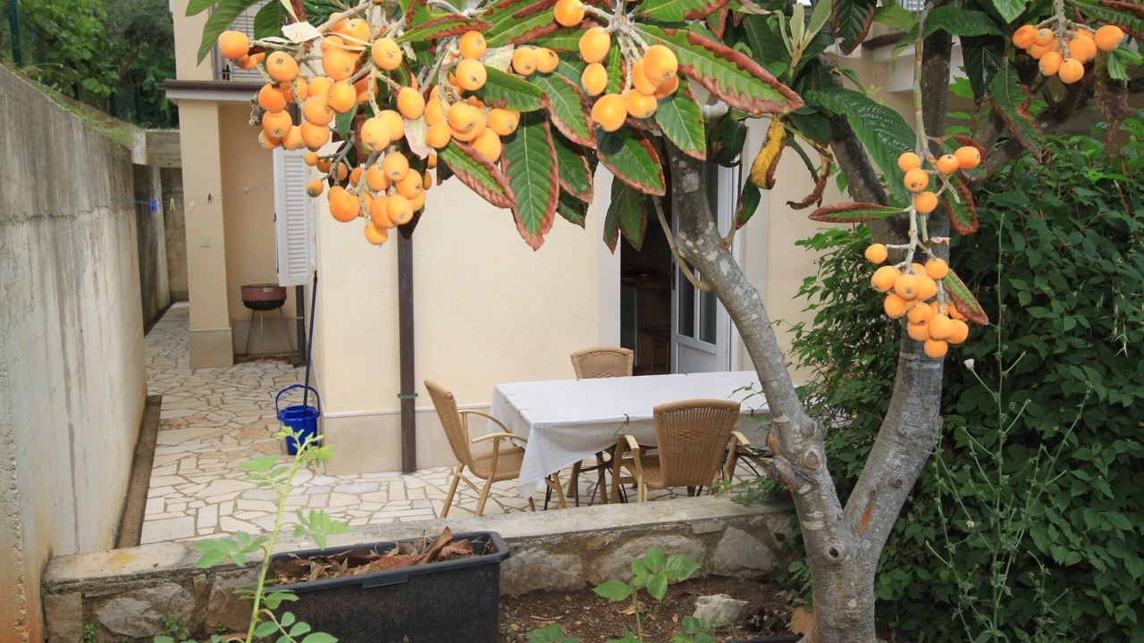 Photo of Outdoor in Nerezine