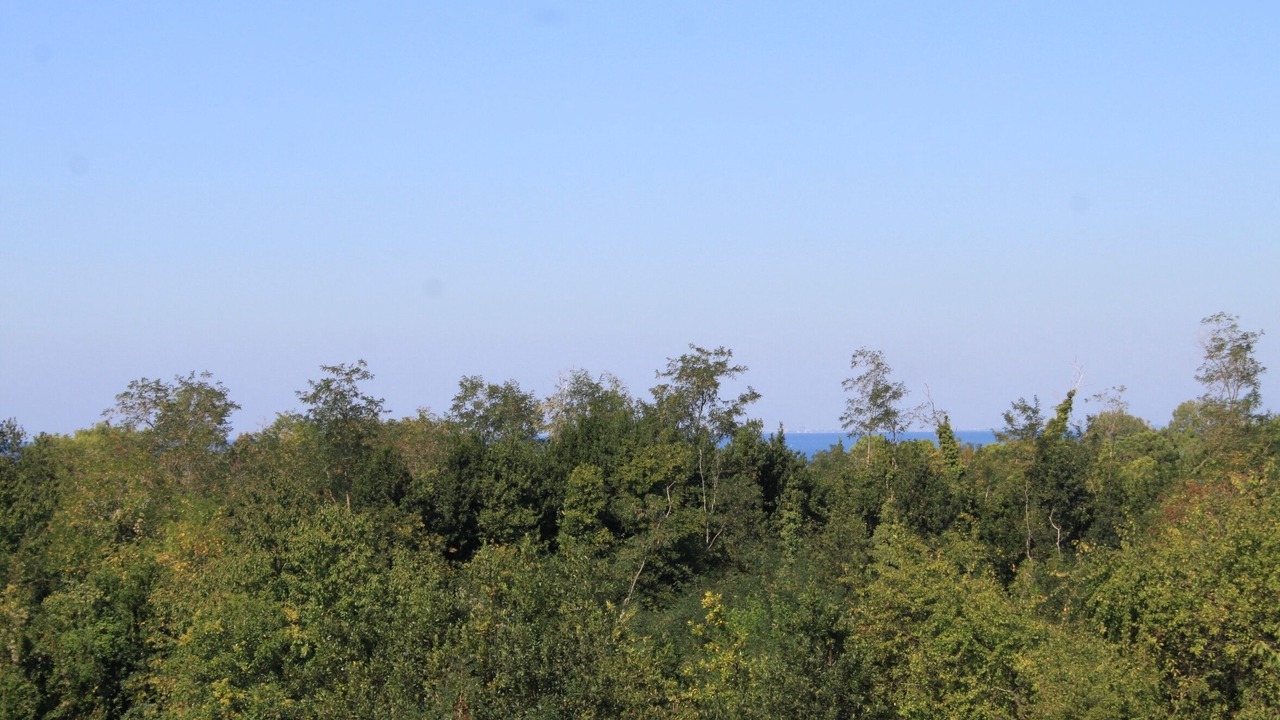 Photo of Others in Basanija