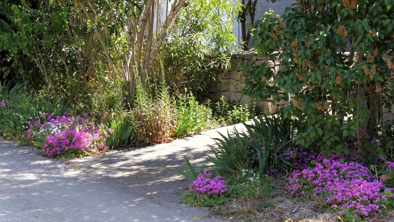 Photo of Outdoor in Molat
