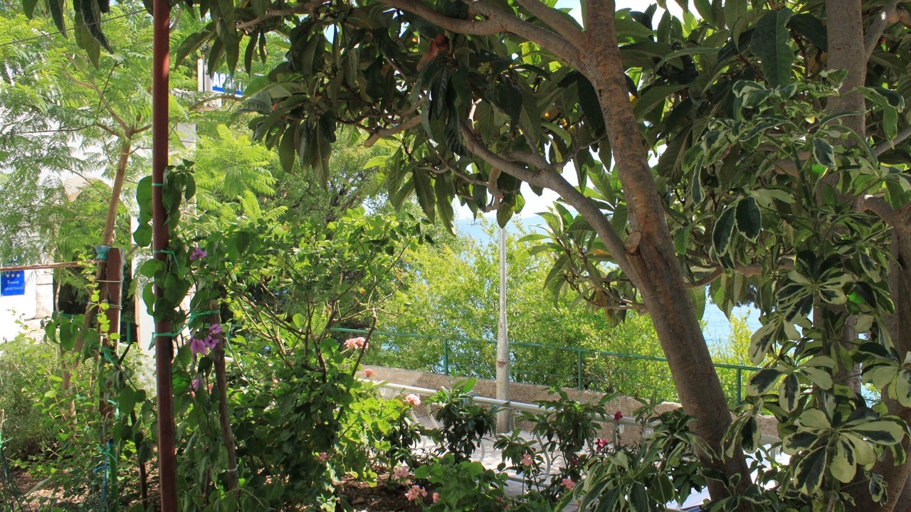 Photo of Outdoor in Brist