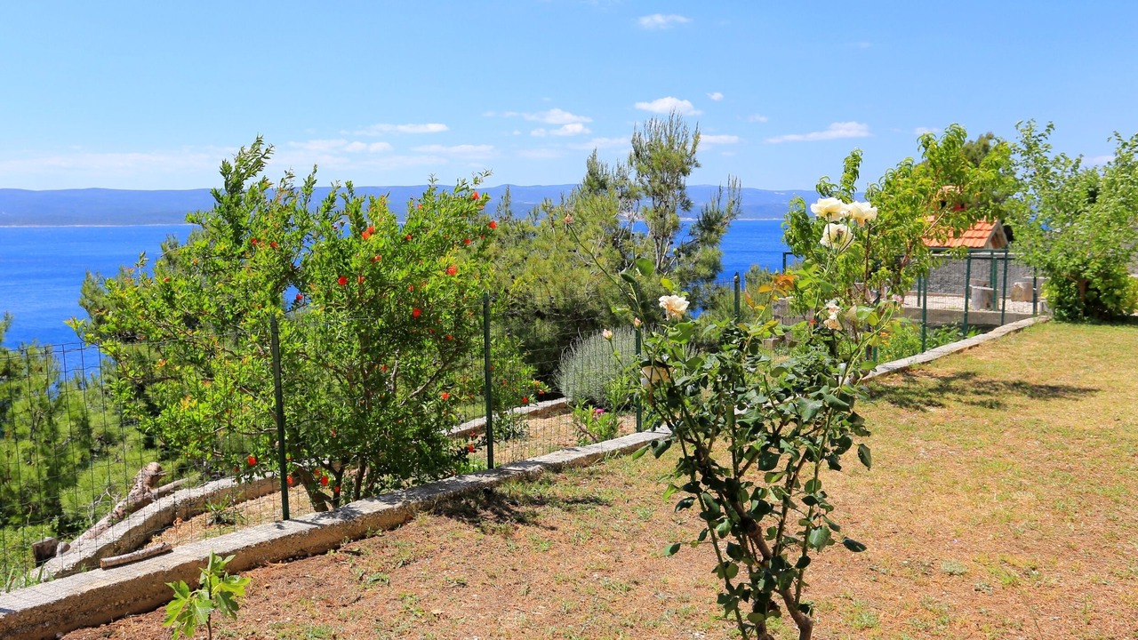 Photo of Outdoor in Marusici