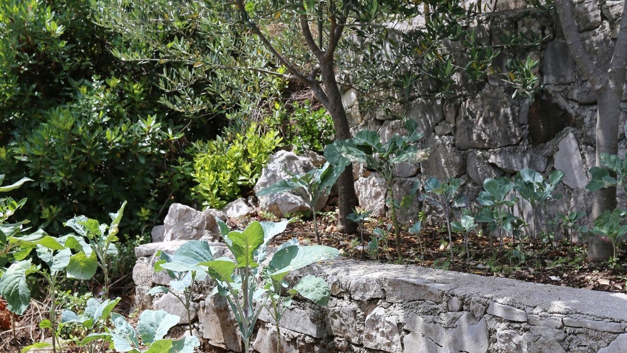 Photo of Outdoor in Putnikovic