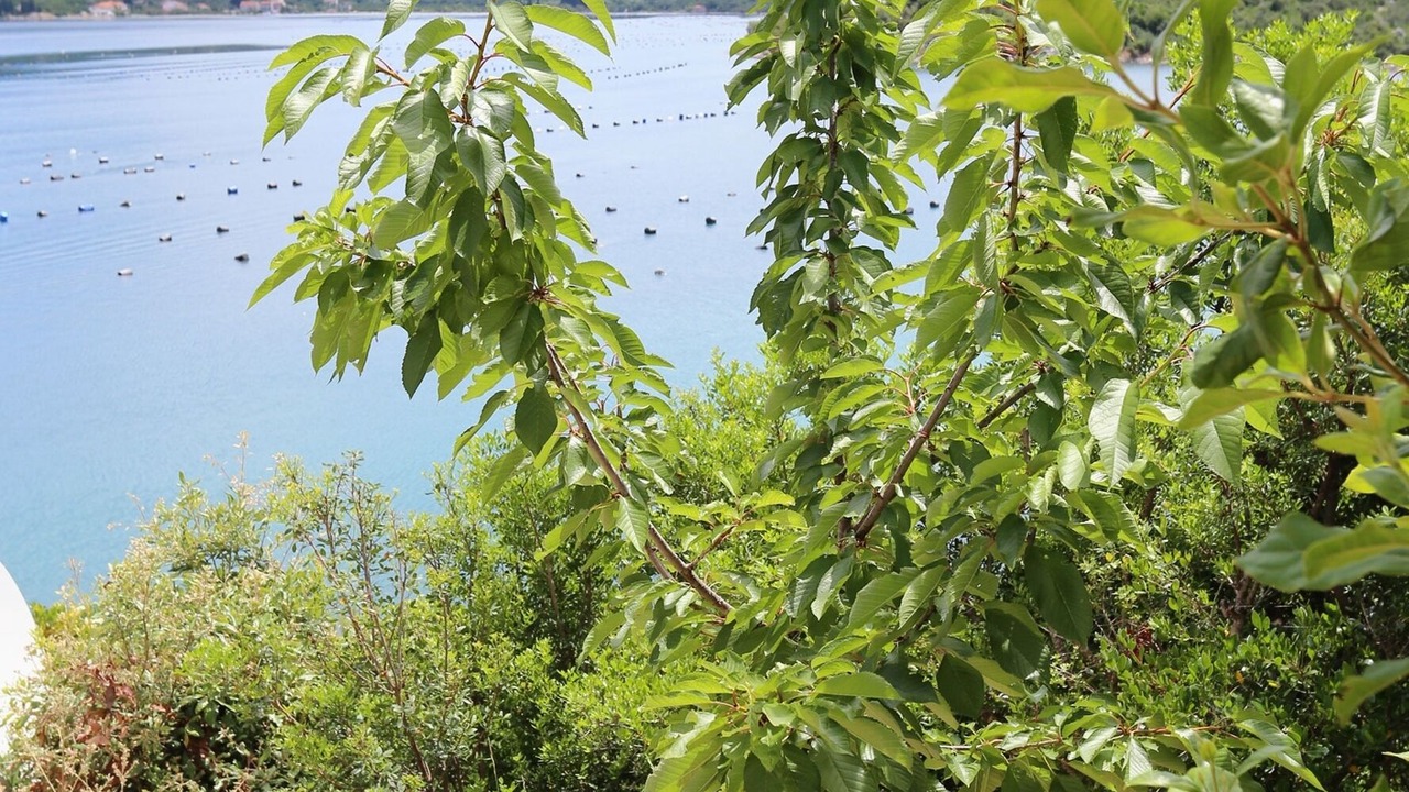 Photo of Outdoor in Putnikovic