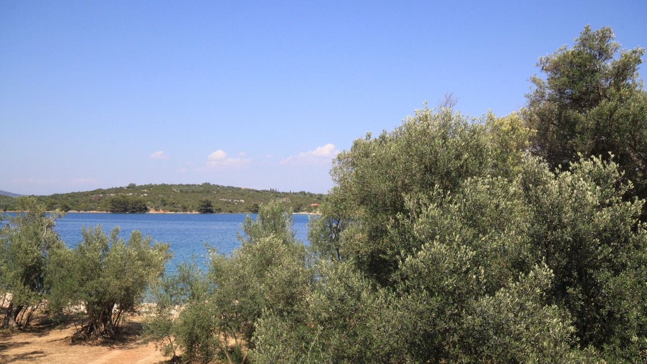 Photo of Others in Luka