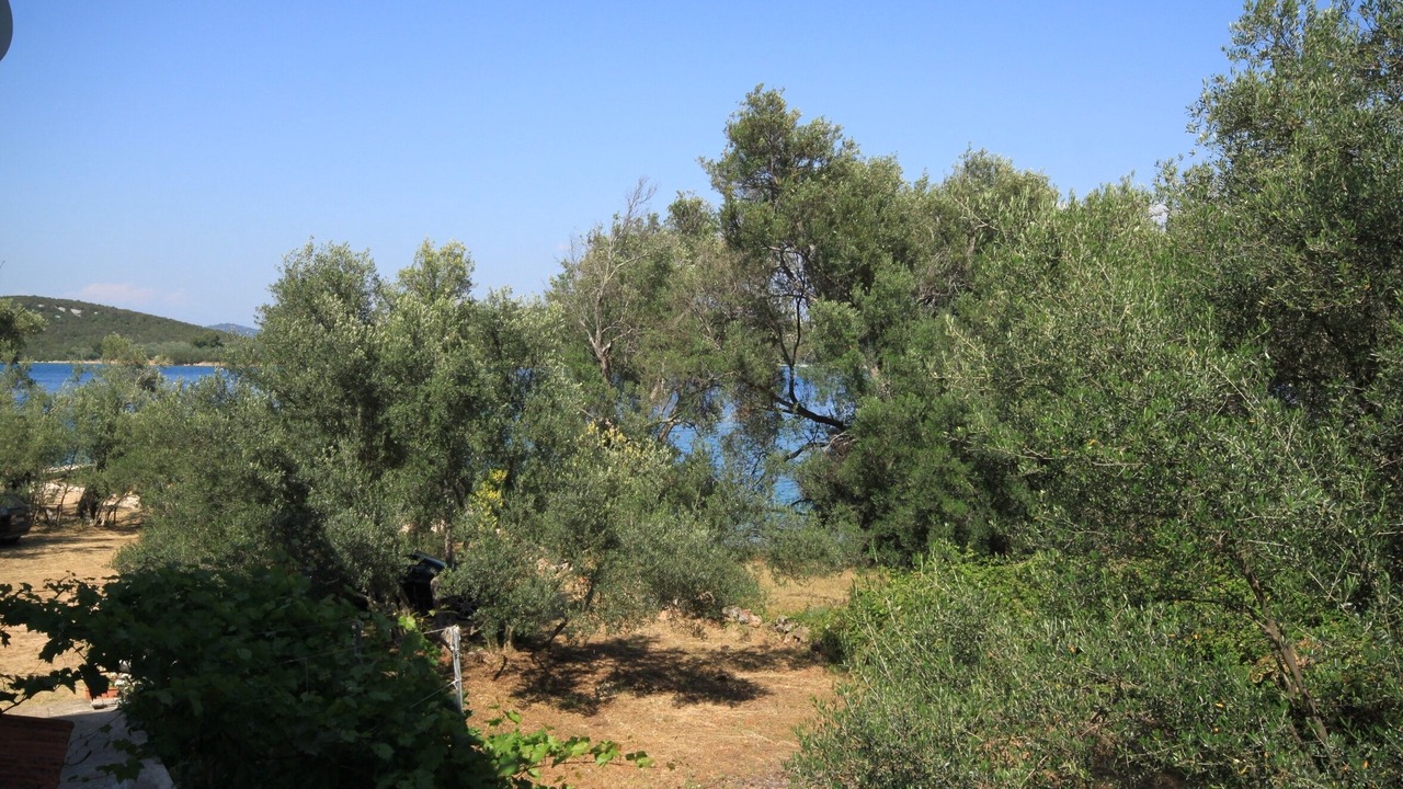 Photo of Others in Luka