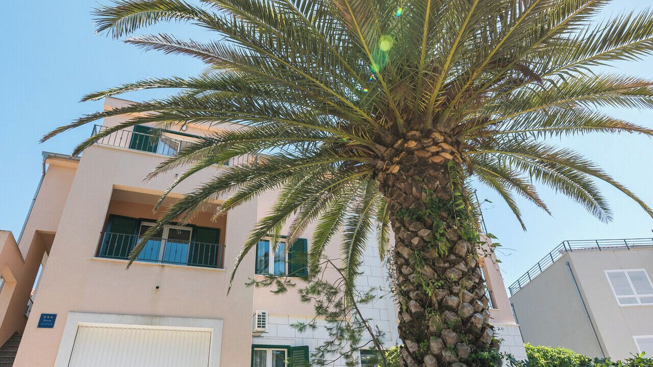 Photo of Outdoor in Vrboska