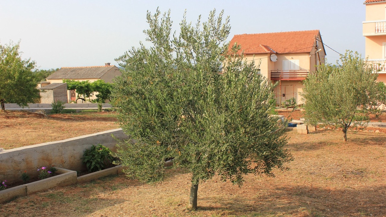 Photo of Outdoor in Kraj
