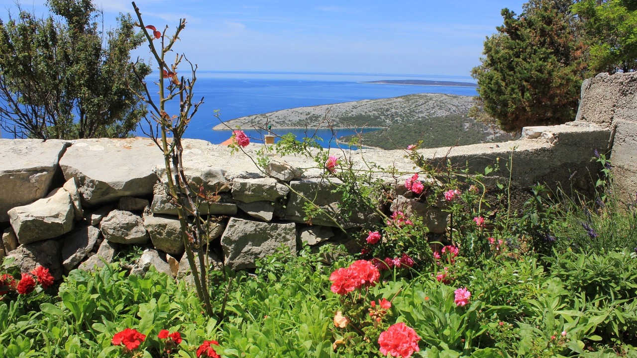 Photo of Outdoor in Ustrine