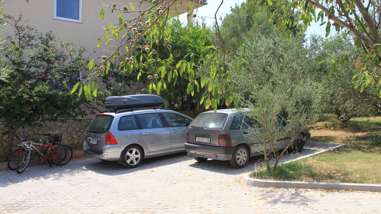 Photo of Others in Batalaza