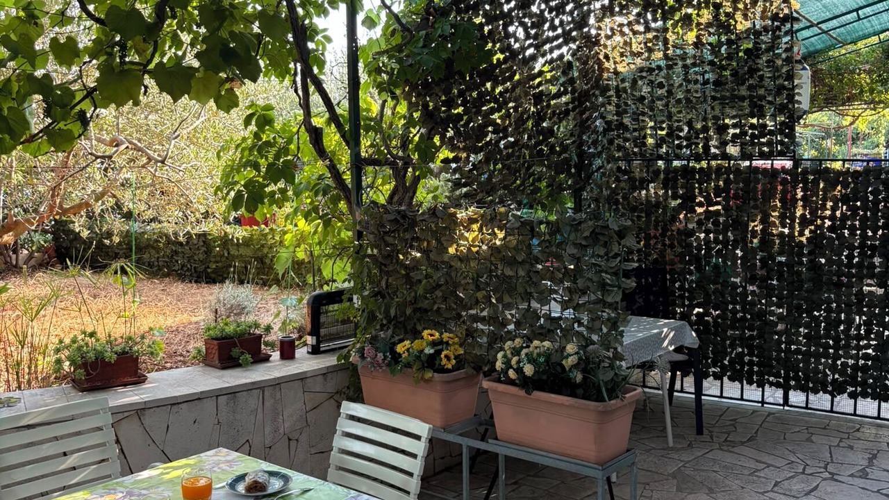 Photo of Outdoor in Seget Vranjica