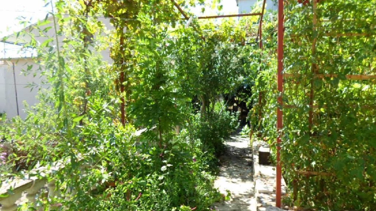 Photo of Outdoor in Podglavica
