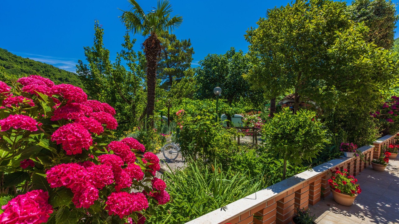 Photo of Outdoor in Obrs