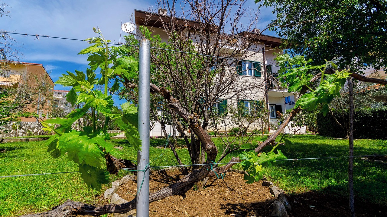 Photo of Outdoor in Okrug Gornji