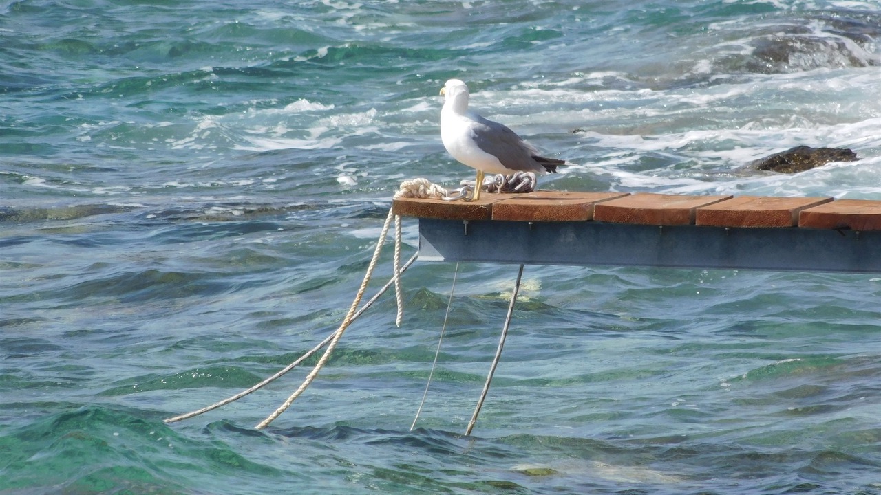 Photo of Others in Milna