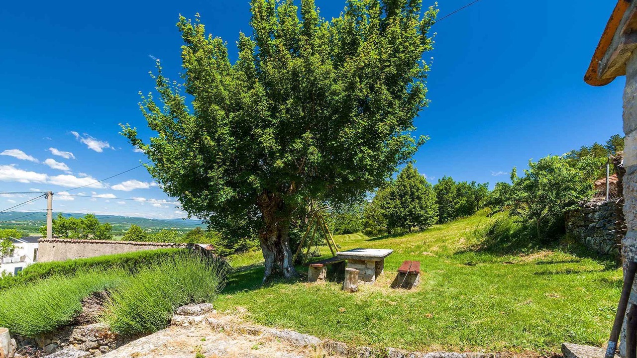Photo of Outdoor in Kozljak