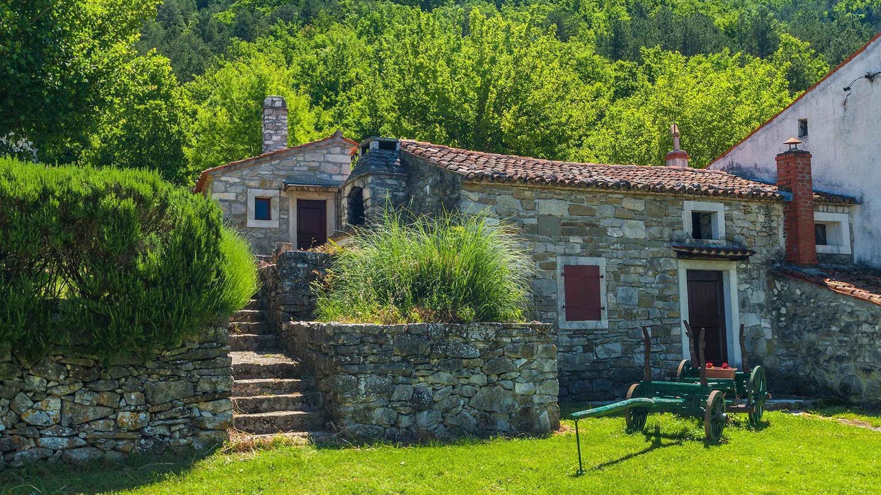 Photo of Outdoor in Kozljak