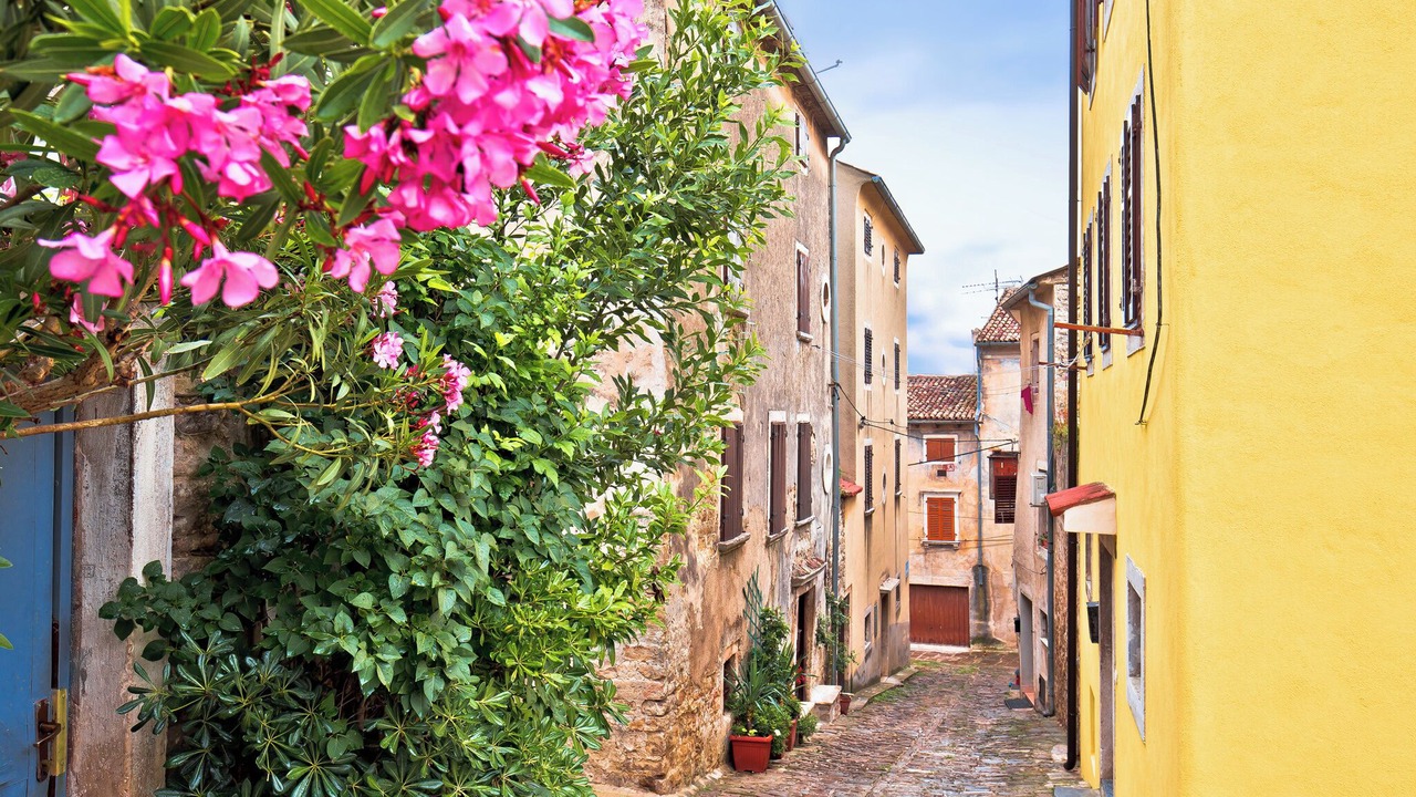 Photo of Outdoor in Novigrad
