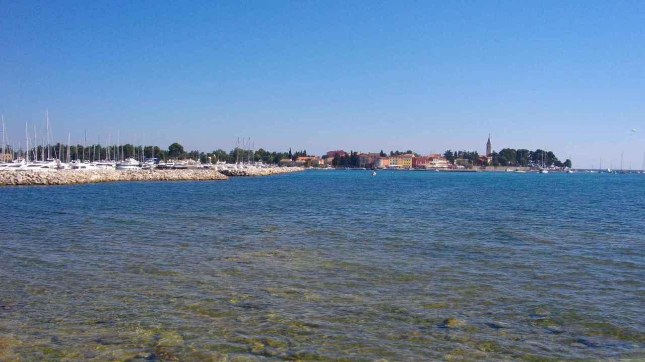 Photo of Others in Novigrad