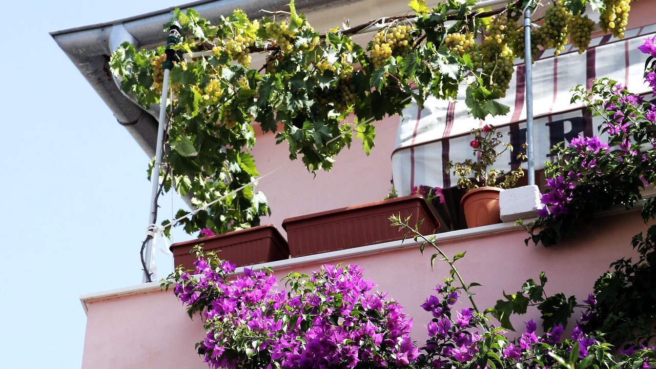 Photo of Outdoor in Cove Murtar