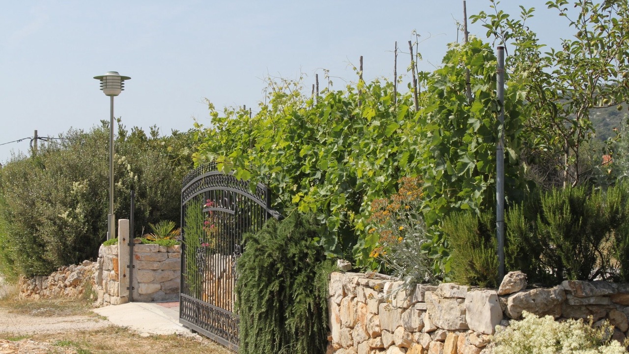 Photo of Outdoor in Soline
