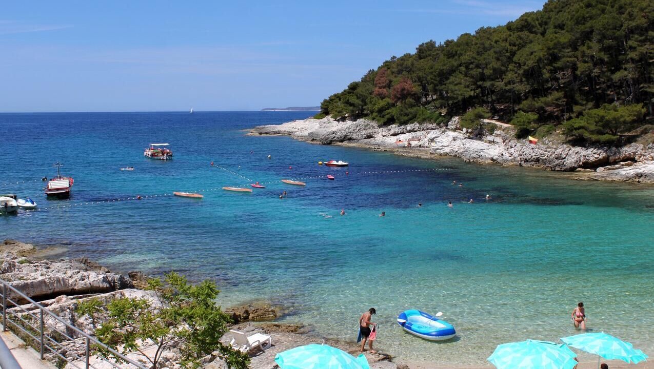 Photo of Others in Cove Murtar
