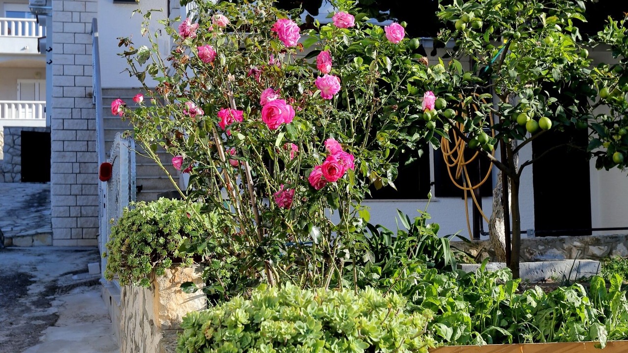 Photo of Outdoor in Trogir