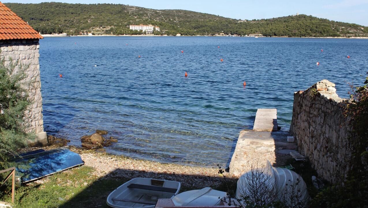Photo of Others in Vis