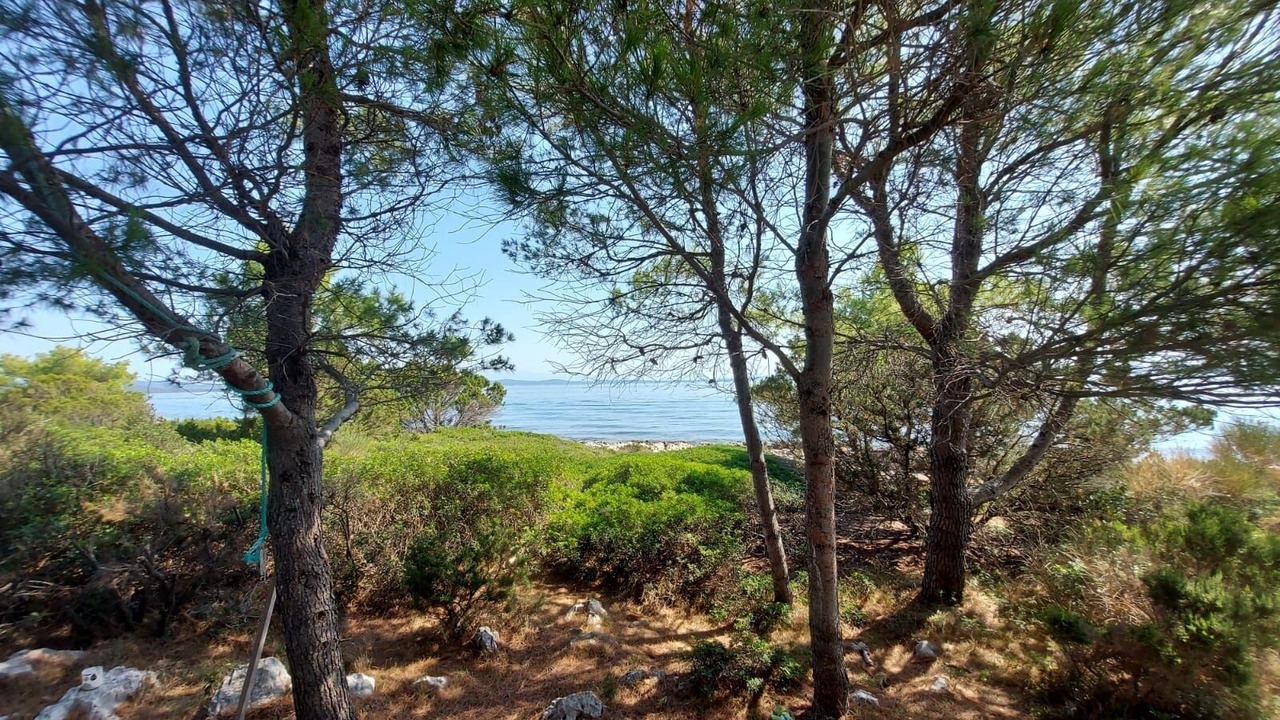 Photo of Others in Zman