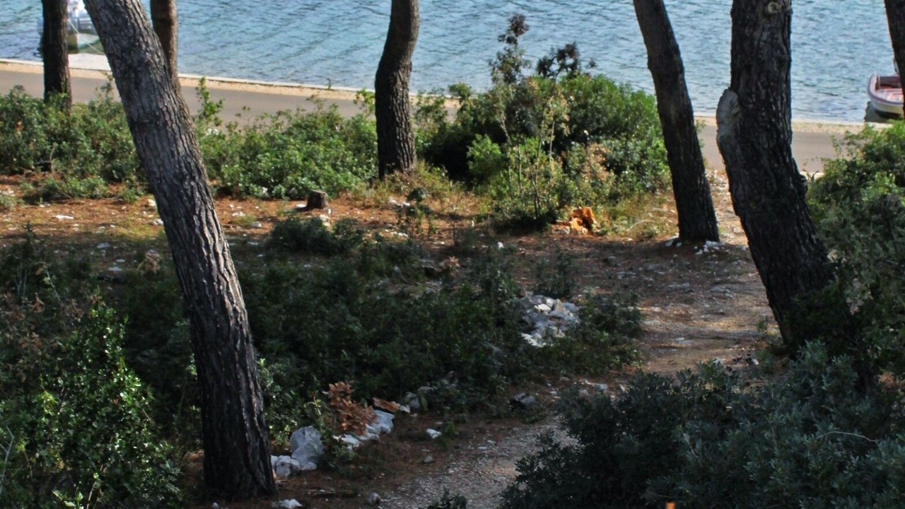 Photo of Outdoor in Municipality of Kali