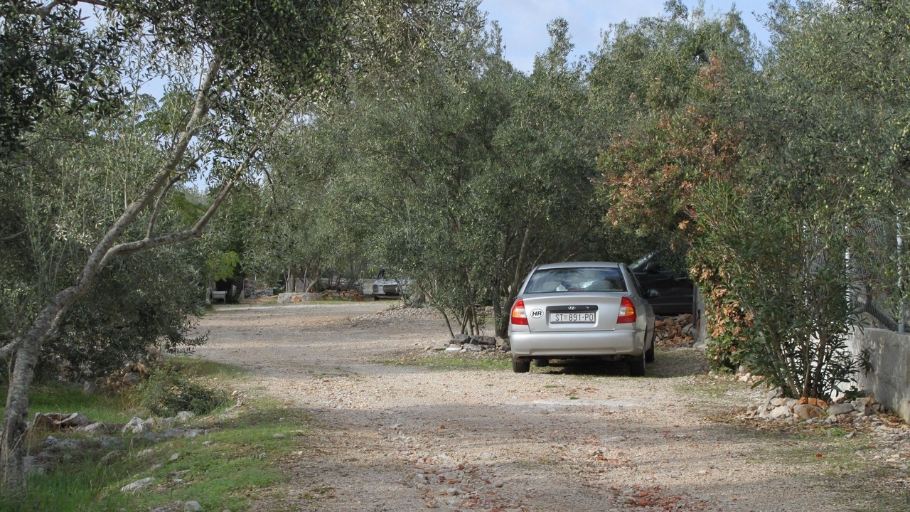 Photo of Others in Municipality of Kali
