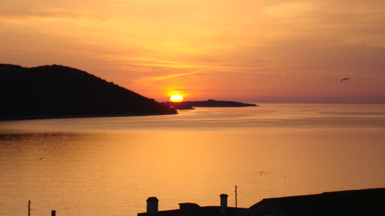 Photo of Others in Soline