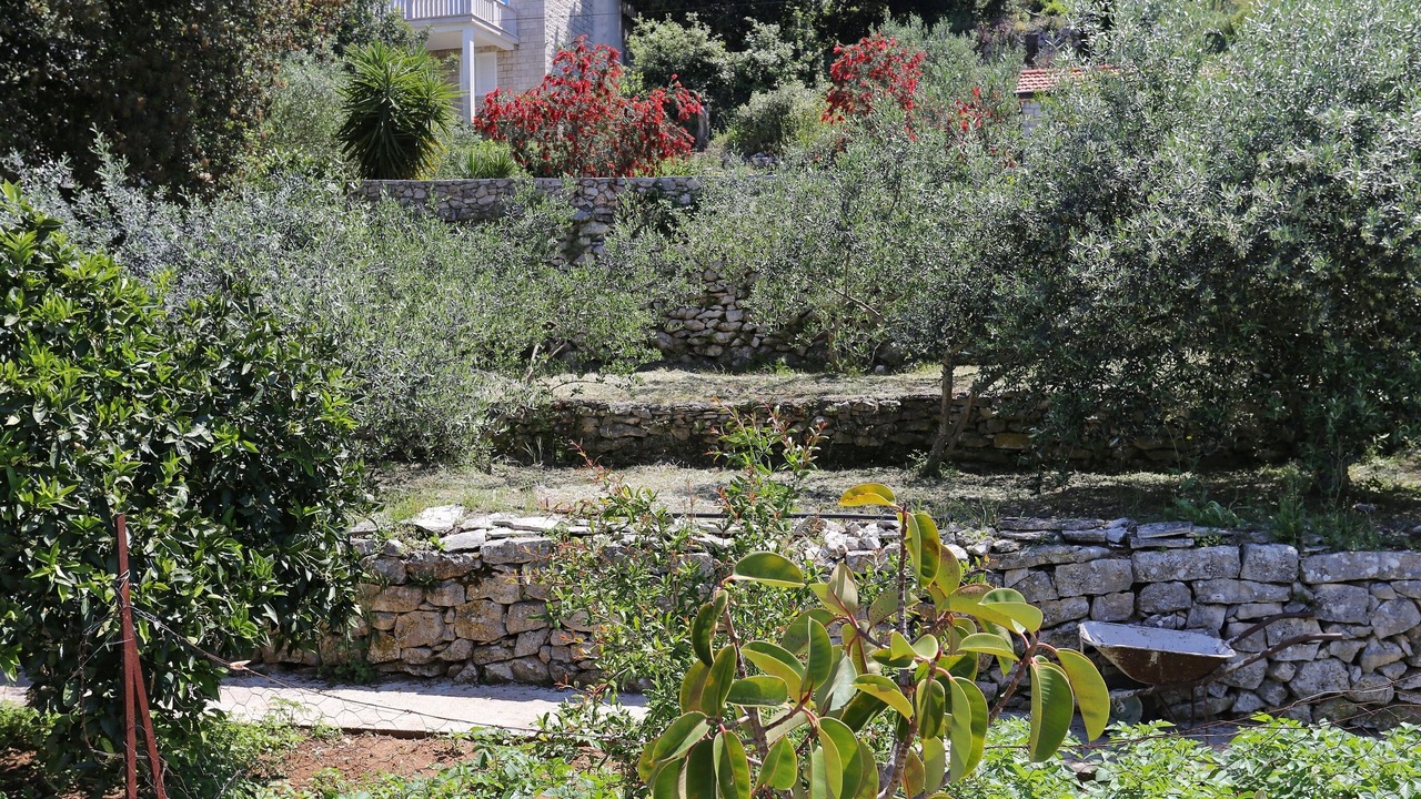 Photo of Outdoor in Lumbarda