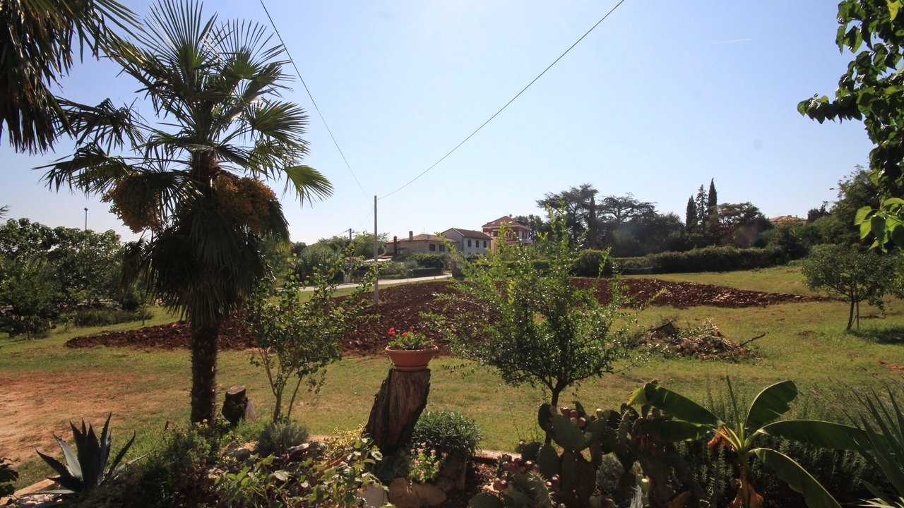 Photo of Others in Basanija