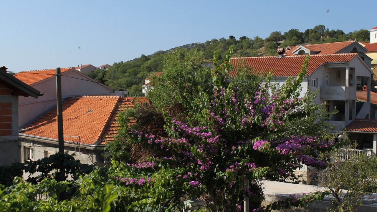 Photo of Others in Island Dugi Otok