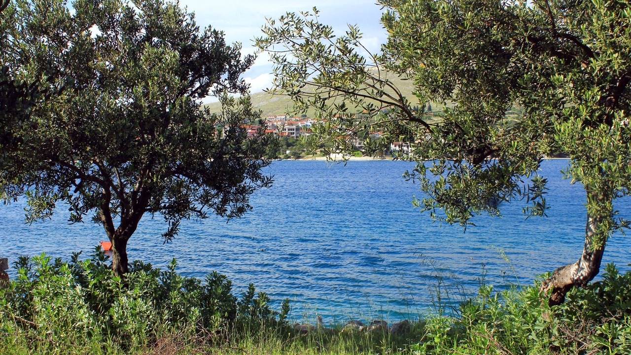 Photo of Others in Grebastica