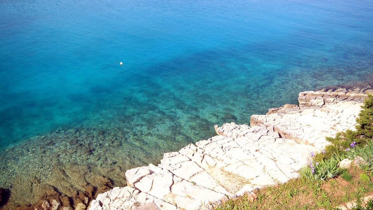 Photo of Others in Cove Basina (Jelsa)