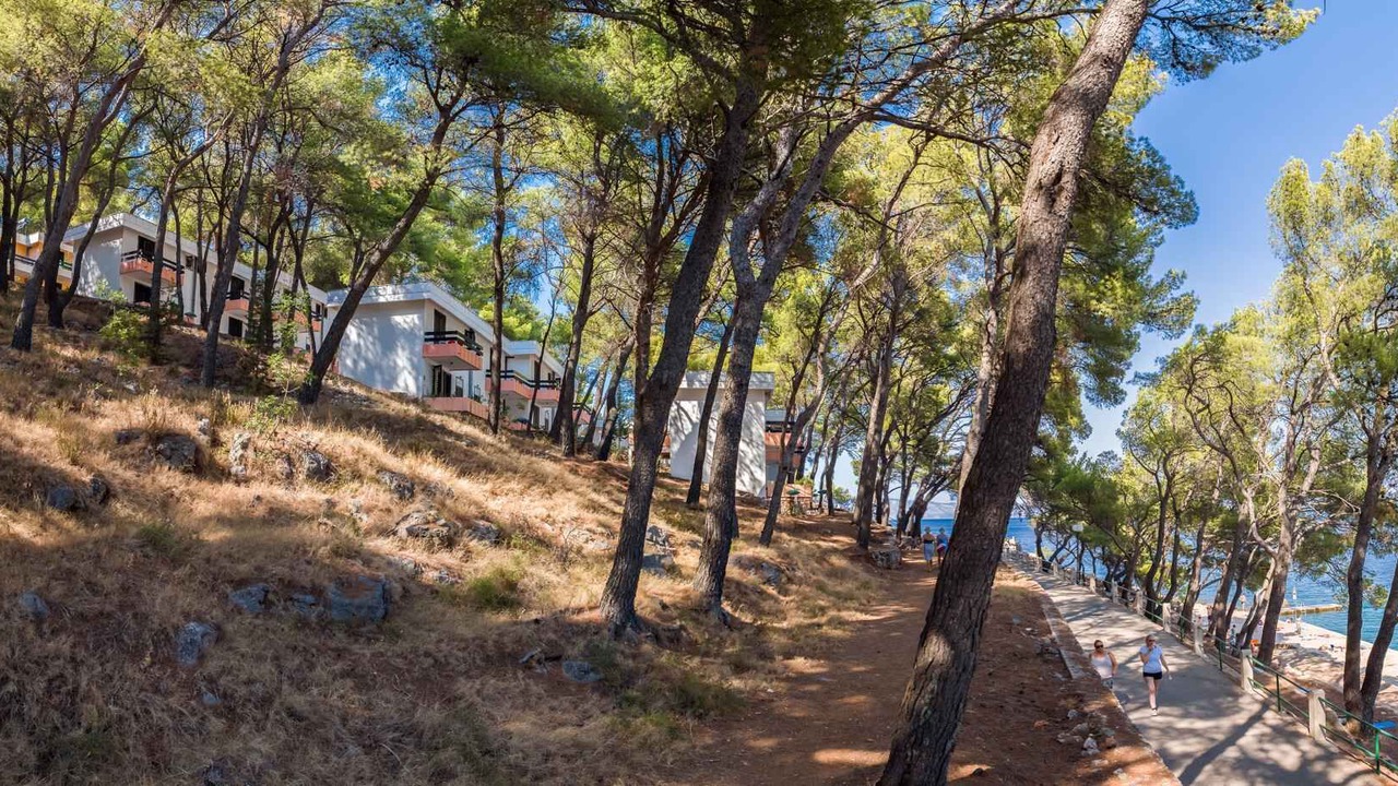 Photo of Others in Island Hvar