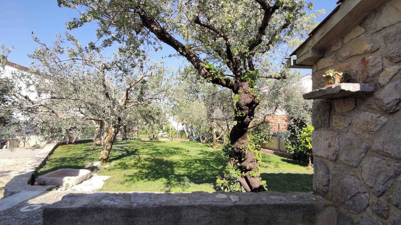 Photo of Outdoor in Krk