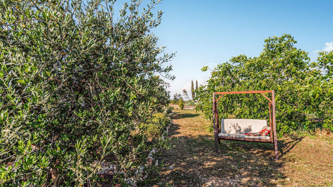 Photo of Outdoor in Sutivan
