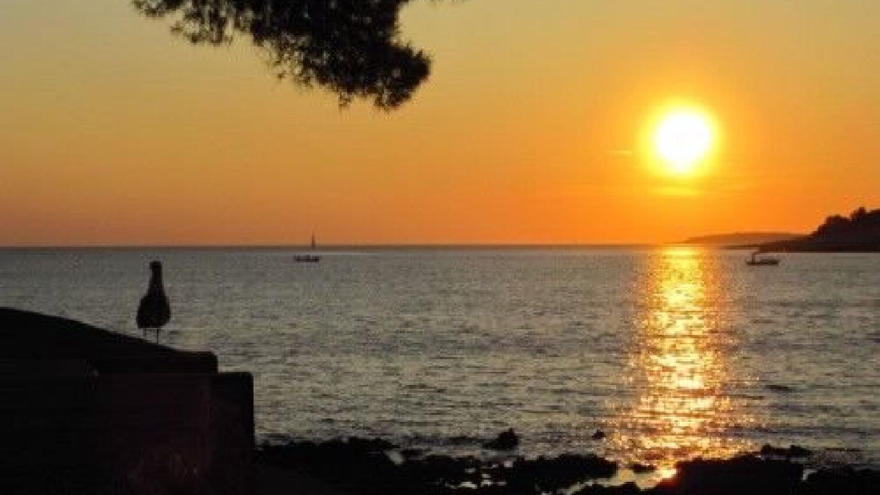 Photo of Others in Cove Murtar