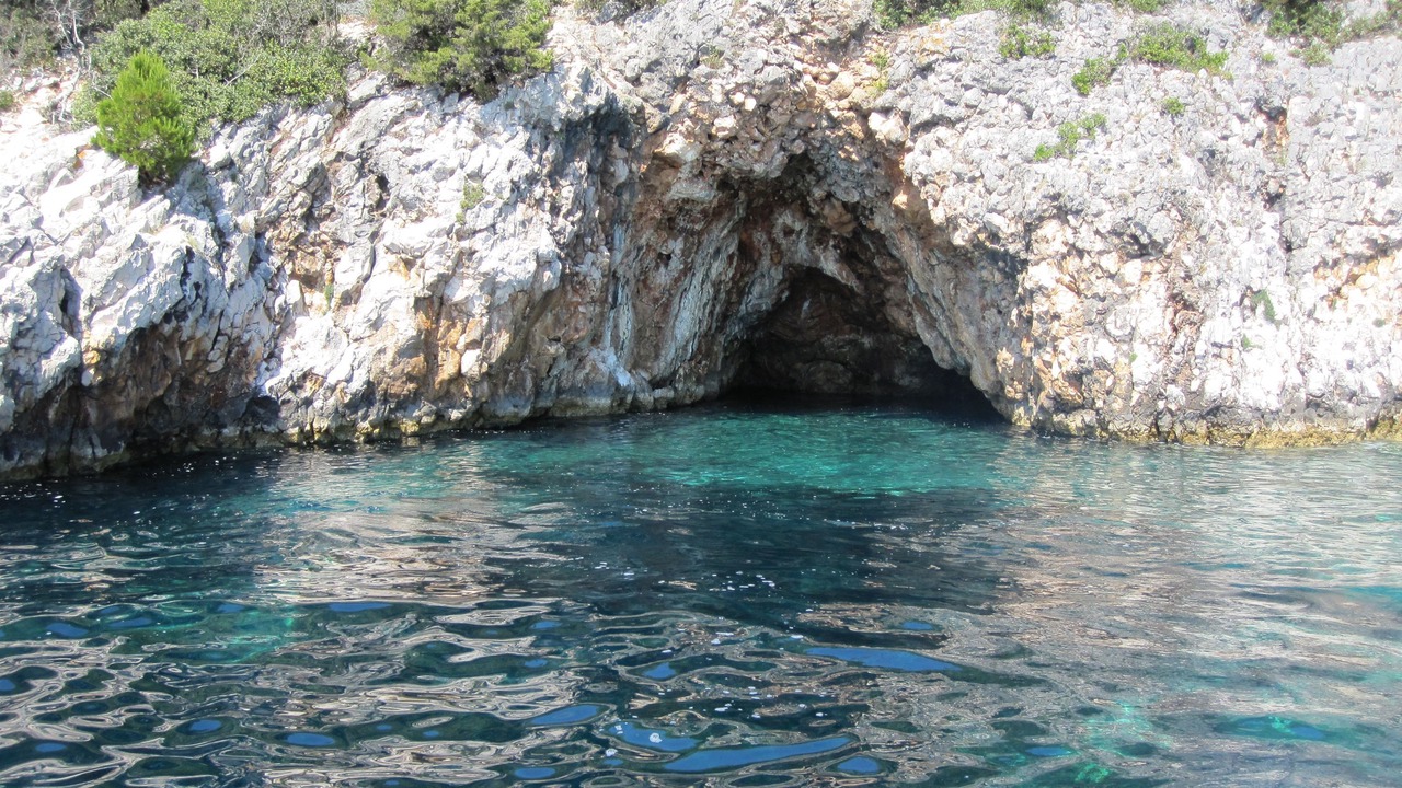 Photo of Others in Cove Murtar