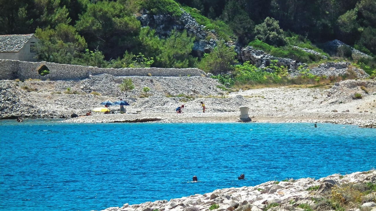 Photo of Others in Povlja
