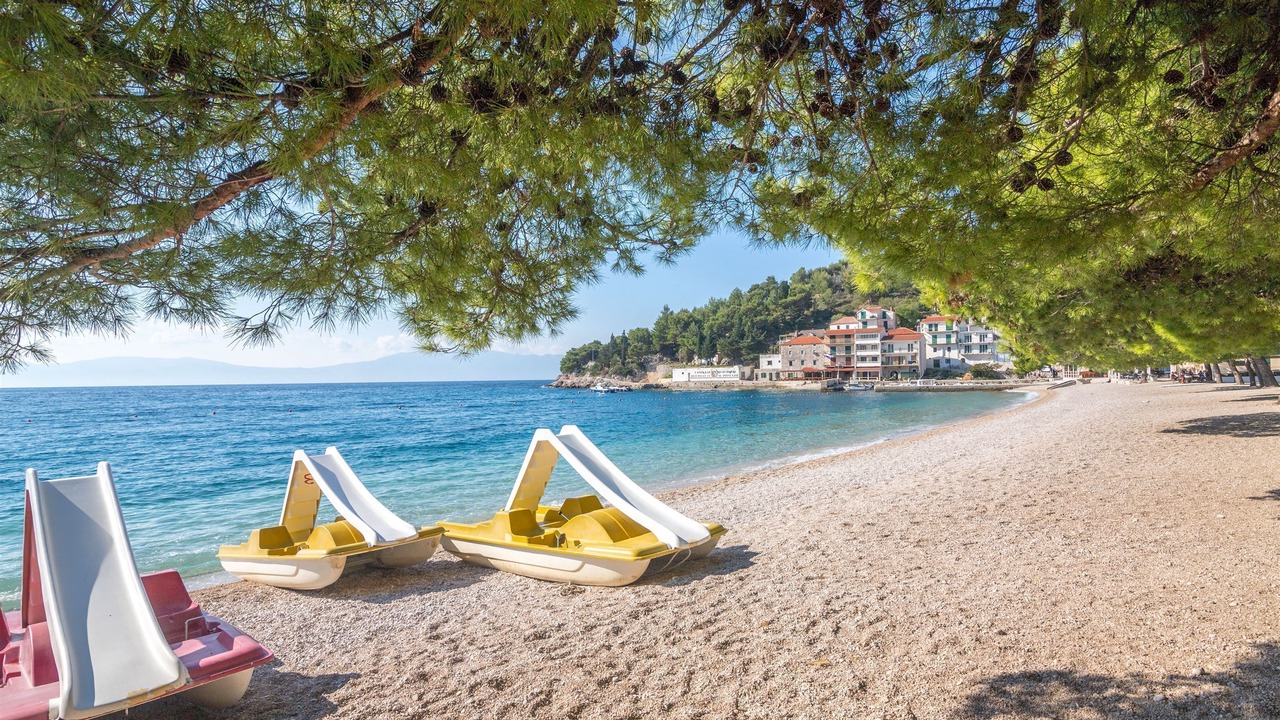 Photo of Others in Drvenik