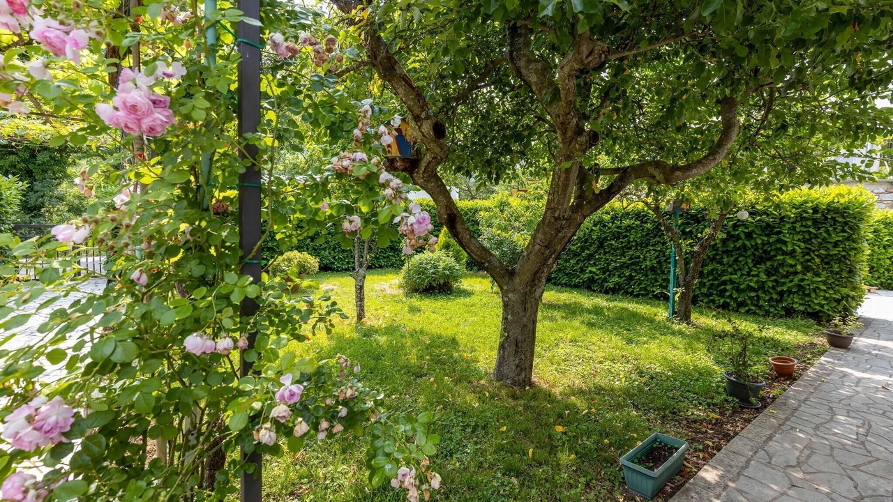 Photo of Outdoor in Tribalj