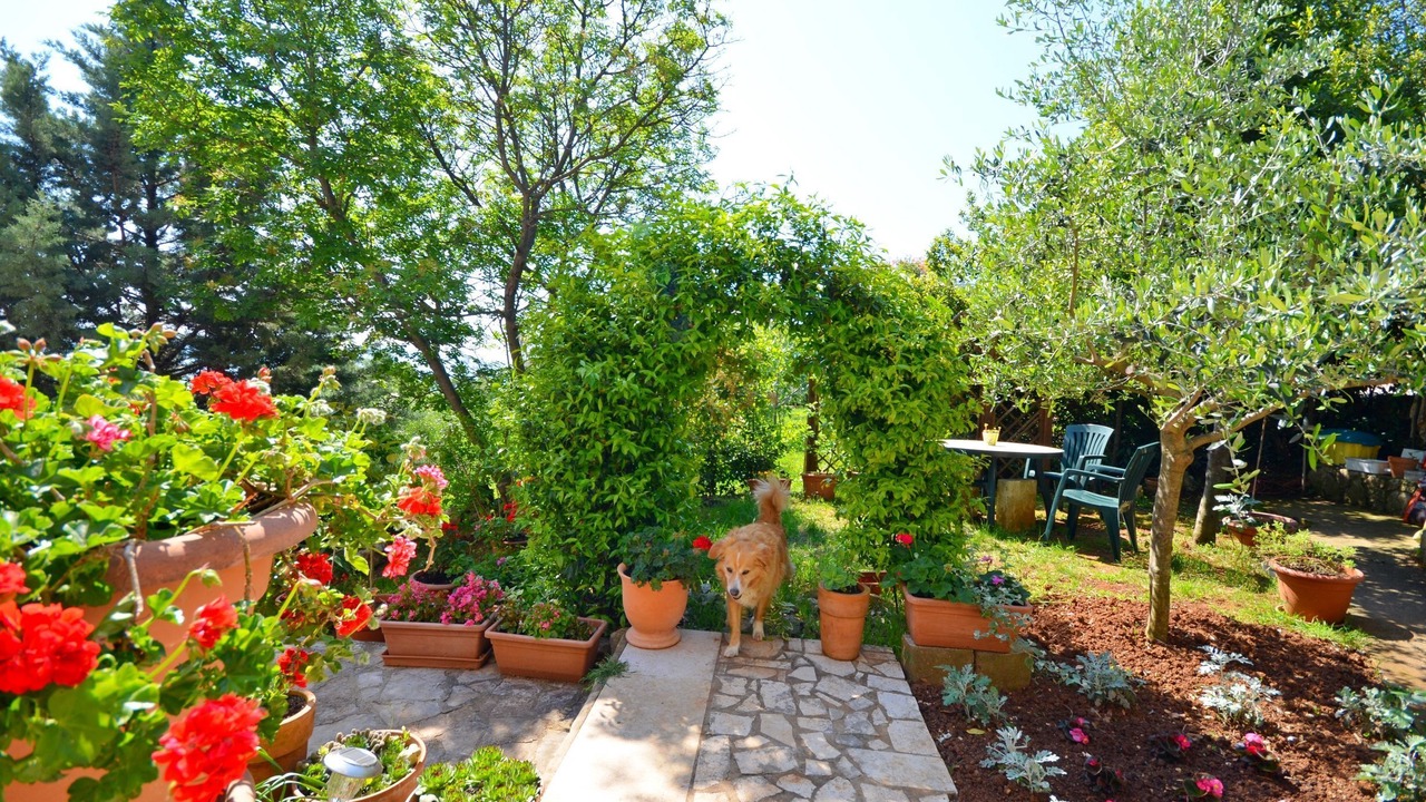 Photo of Outdoor in Ravni