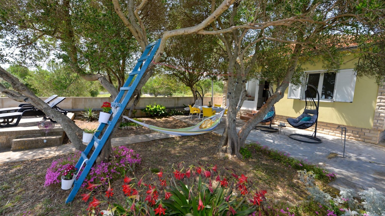 Photo of Outdoor in Banj