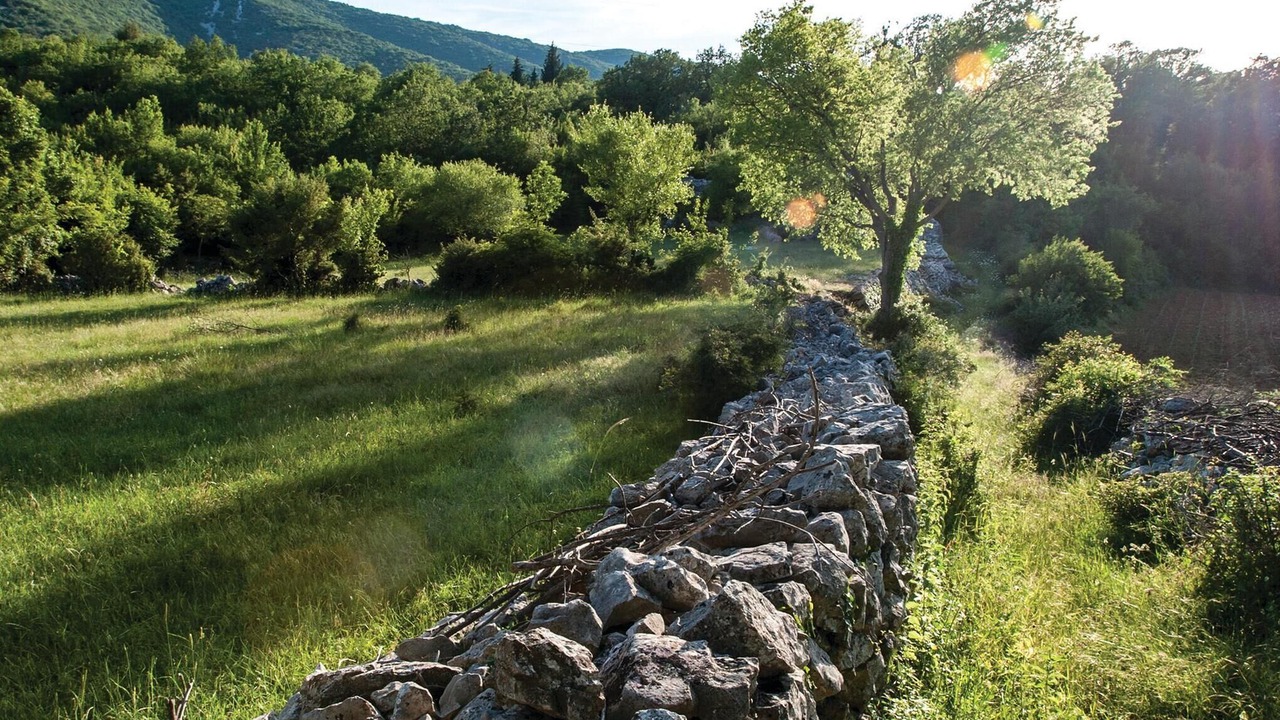 Photo of Others in Lecevica