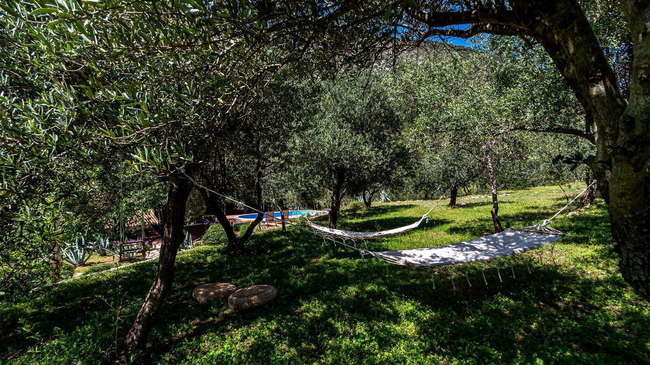 Photo of Others in Trstenik