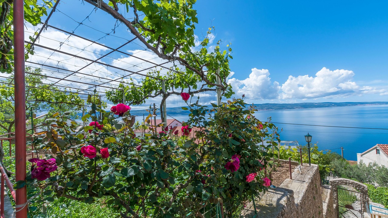Photo of Outdoor in Omis